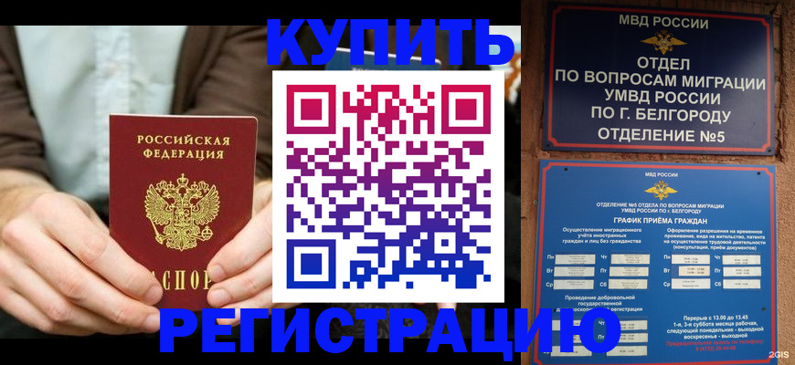прописка 2025 в Арсеньеве